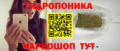сатива Ирбит