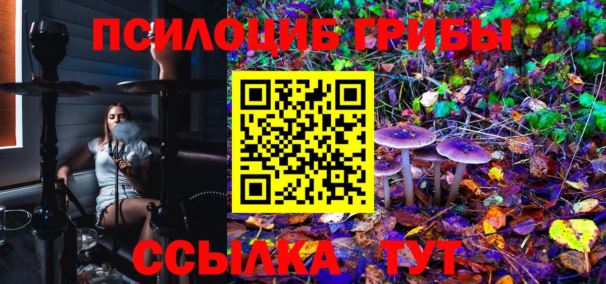 Галлюциногенные грибы MAGIC MUSHROOMS  Вход с VPN  Котлас 
