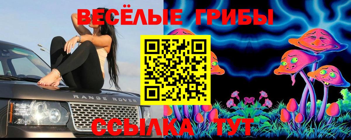 Галлюциногенные грибы Cubensis Котлас
